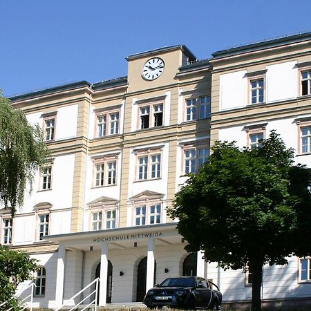 Apartment Tenx Mittweida Exterior foto